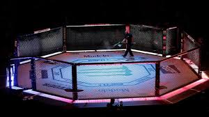 How to Watch UFC for Free: Your Comprehensive Streaming Guide