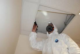 Common Methods Used in Asbestos Testing